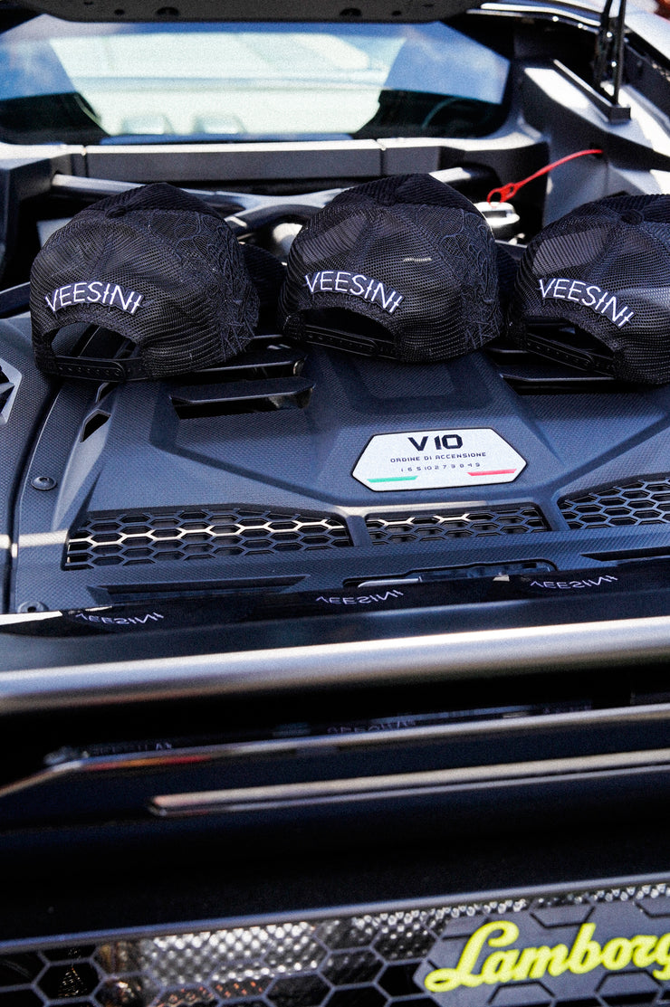 VEESINI CAP LIMITED 1 OF 150